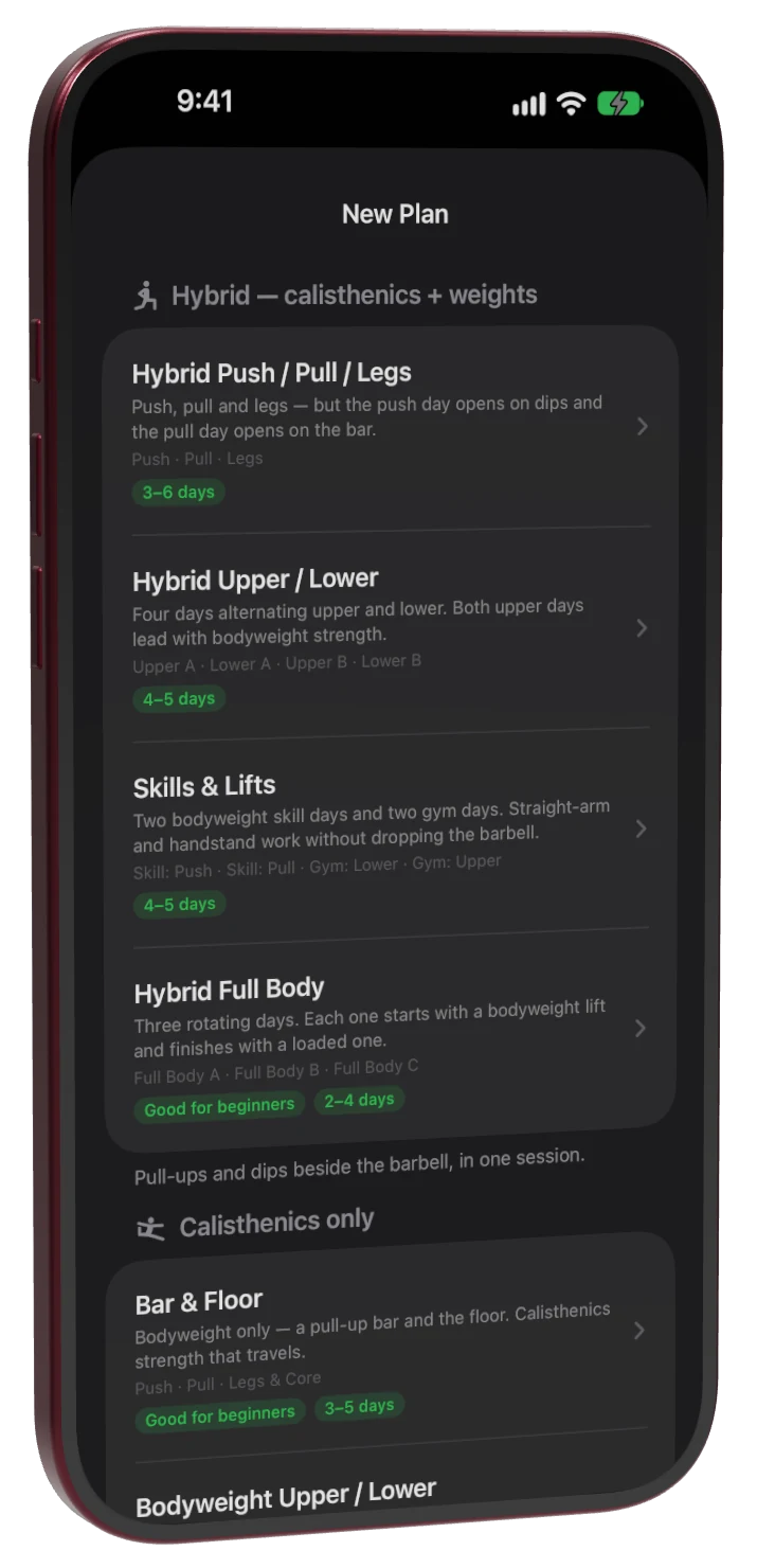 New Plan: hybrid, calisthenics-only and gym-only starter plans